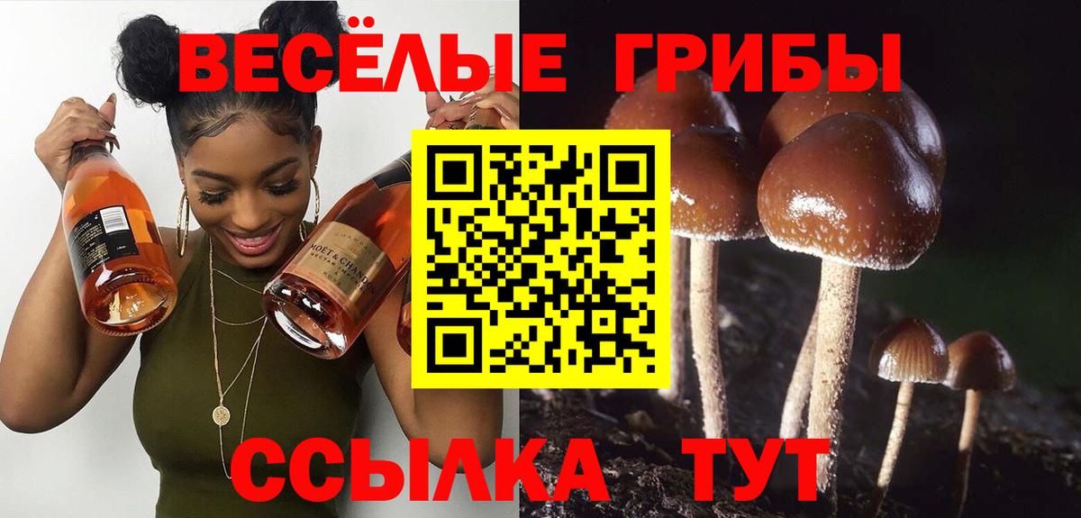 Галлюциногенные грибы прущие грибы Петропавловск-Камчатский