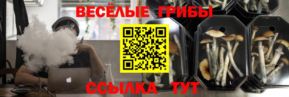 Петропавловск-Камчатский  Галлюциногенные грибы Psilocybe  где купить   Галлюциногенные грибы Magic Shrooms  Вход с VPN 